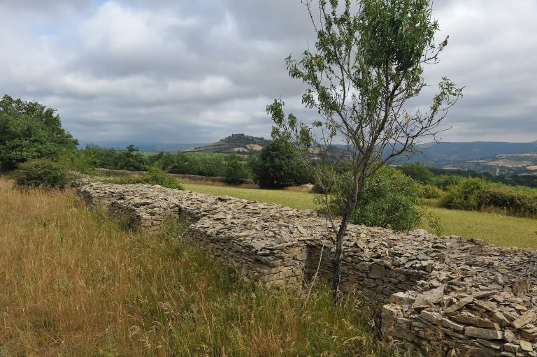 La Muraille des amandiers de COMBES LAURENCE